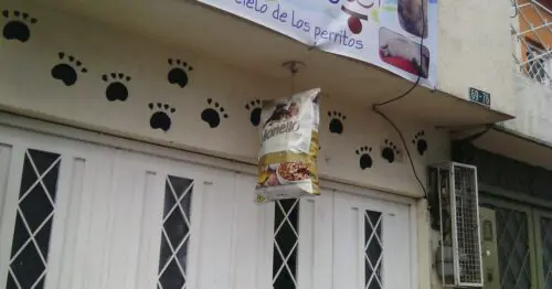 GRANJA ARCANGELES EL CIELO DE LOS PERRITOS GRANJA ARCANGELES EL CIELO DE LOS PERRITOS